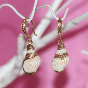Medium Conch Shell Earrings