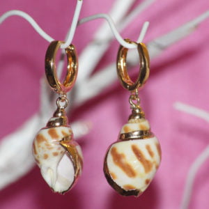 Medium Tiger Shell Earrings