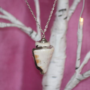 Conch Family Shell Silver Lined Pendant