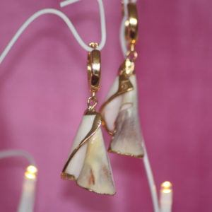 Plain Spiral Shell Hoop Earrings