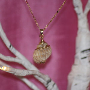 Medium Shell Pendant
