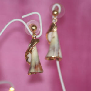 Plain Spiral Shell Indented Post Earrings